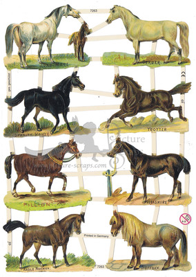 EF 7263 horses.jpg