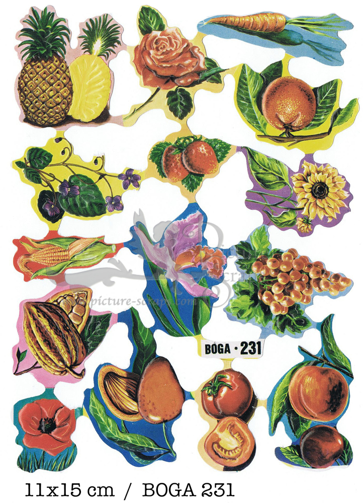 BOGA 231 fruits seeds.jpg