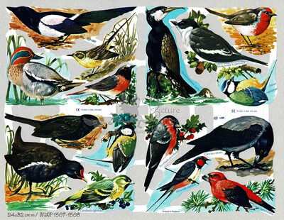 MLP 1507-1508 full sheet birds.jpg