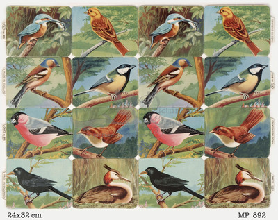 MP 895 full sheet birds.jpg