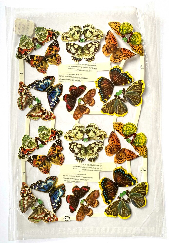 MLP 811 butterflies iop.JPG