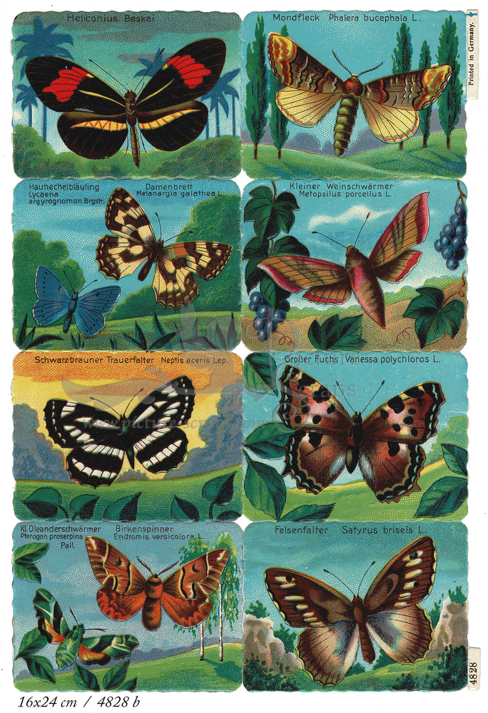 Printed in Germany 4828 b butterflies square educational scraps.jpg