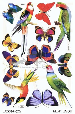 MLP 1960 birds.jpg
