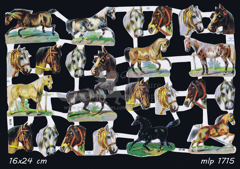 MLP 1715 horses.jpg