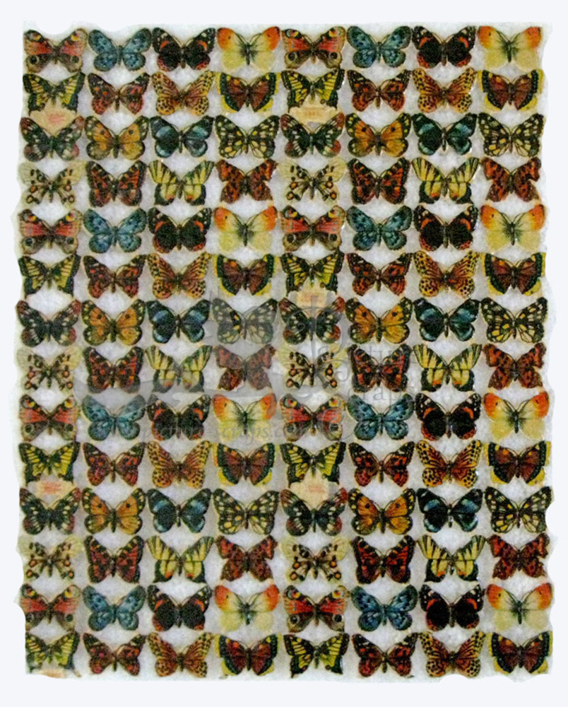 Mish & Stock 2557 butterflies.jpg