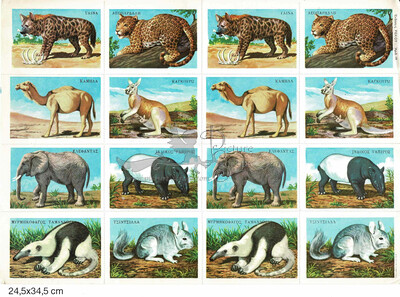 Rekos 19 educational animals.jpg