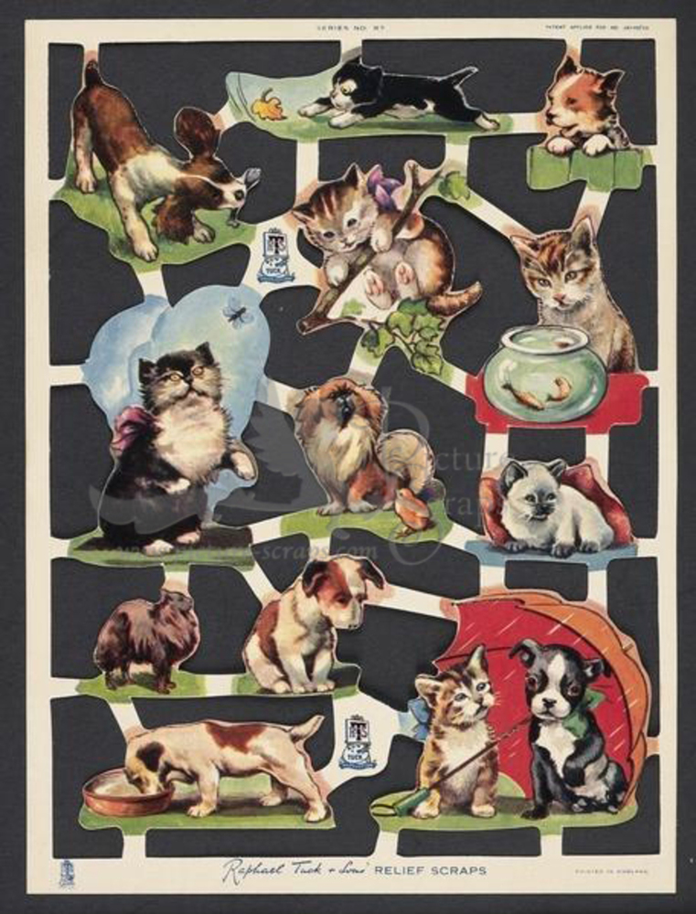 7 cats and dogs.jpg
