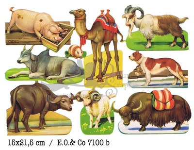 EO 7100 b farm animals.jpg