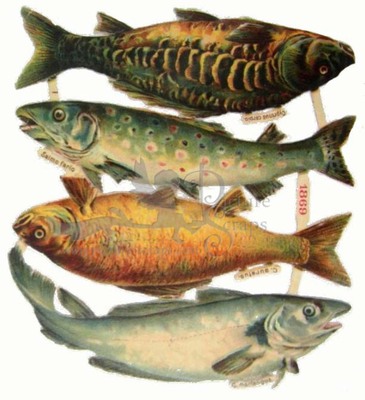 NL 1869 fish.jpg