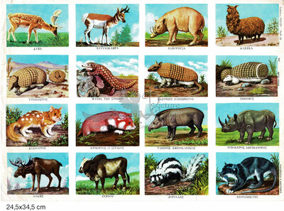 Rekos 20 educational animals.jpg