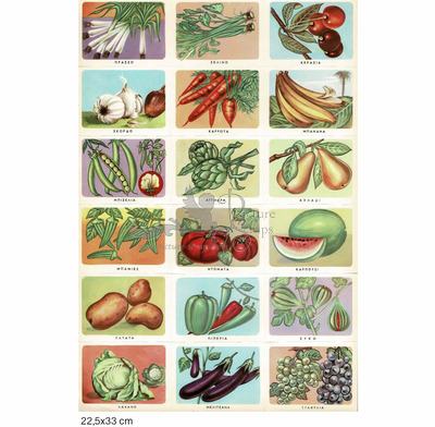Rekos educational vegetables.jpg