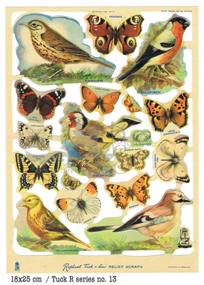 13 birds and butterflies.jpg