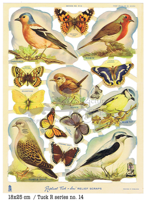 14 birds and butterflies.jpg