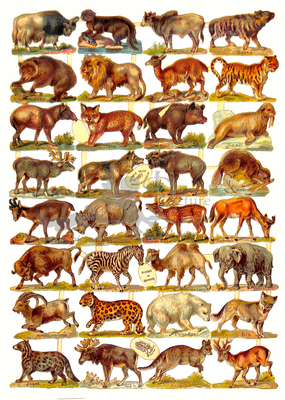 R.Tuck 897 a animals.jpg