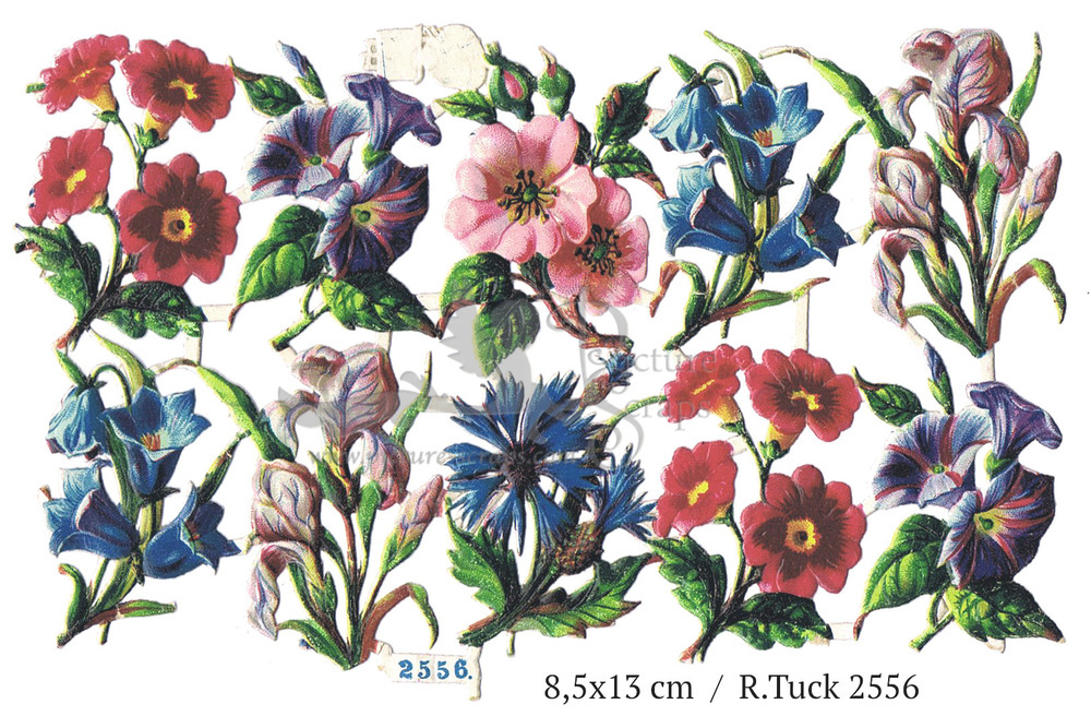 R.Tuck 2556 flowers.jpg