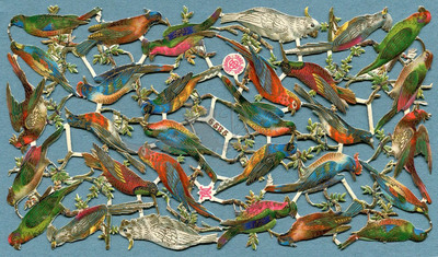 A&M 6535 colored birds.jpg