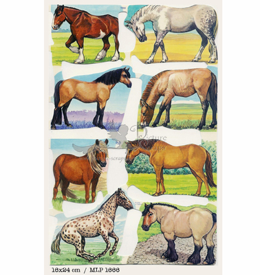 MLP 1666 horses.jpg