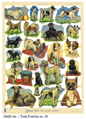 18 dogs.jpg