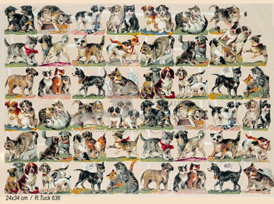 R.Tuck 636 cats and dogs.jpg