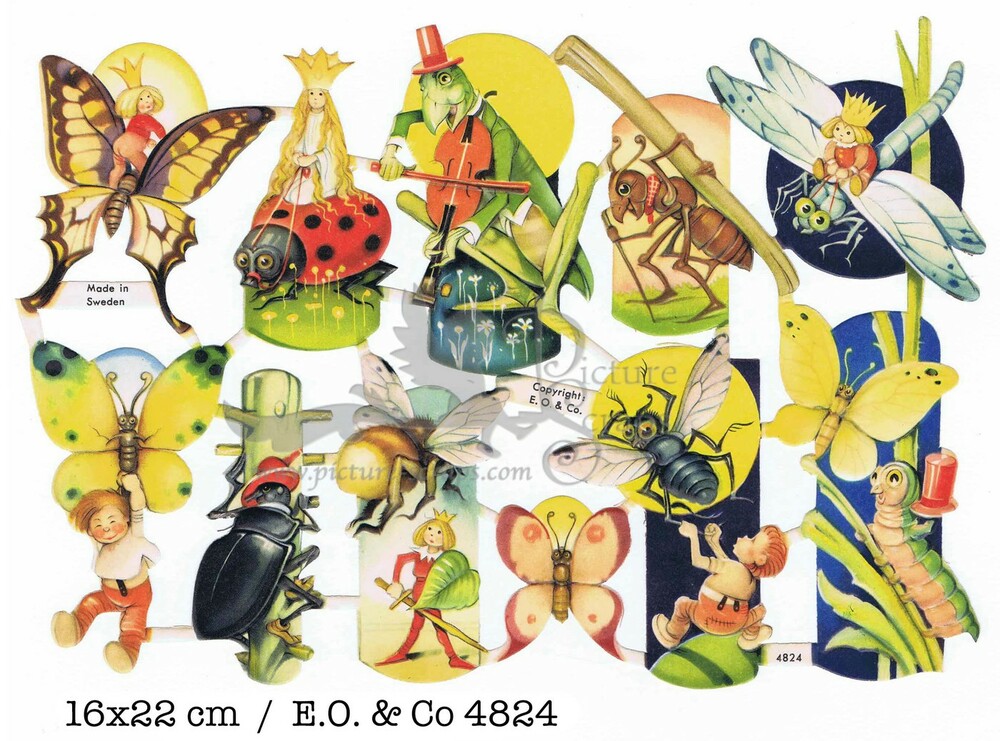 EO 4824 insects.jpg