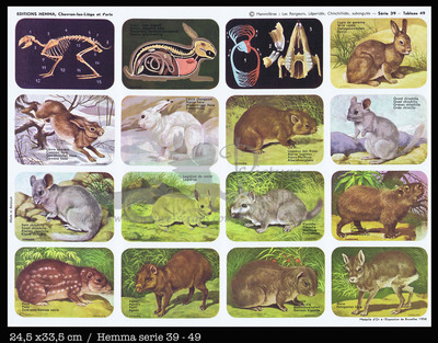 Hemma 49 mammals.jpg