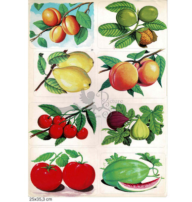 Rekos 29 fruits.jpg