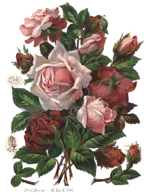 R.Tuck 508 roses.jpg