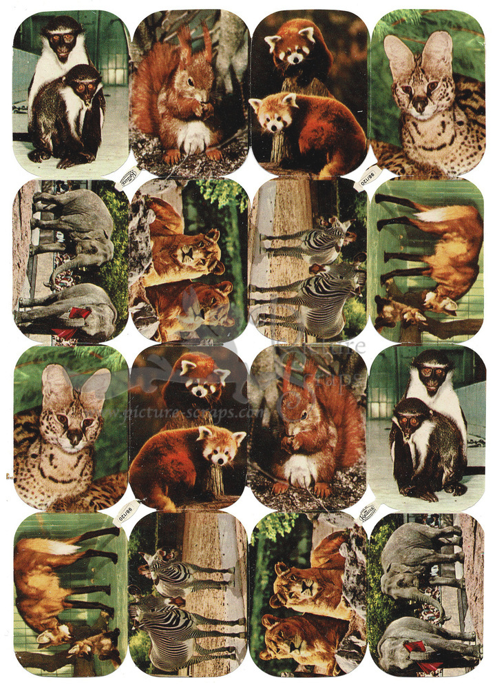 Kruger 98.120 animals.jpg