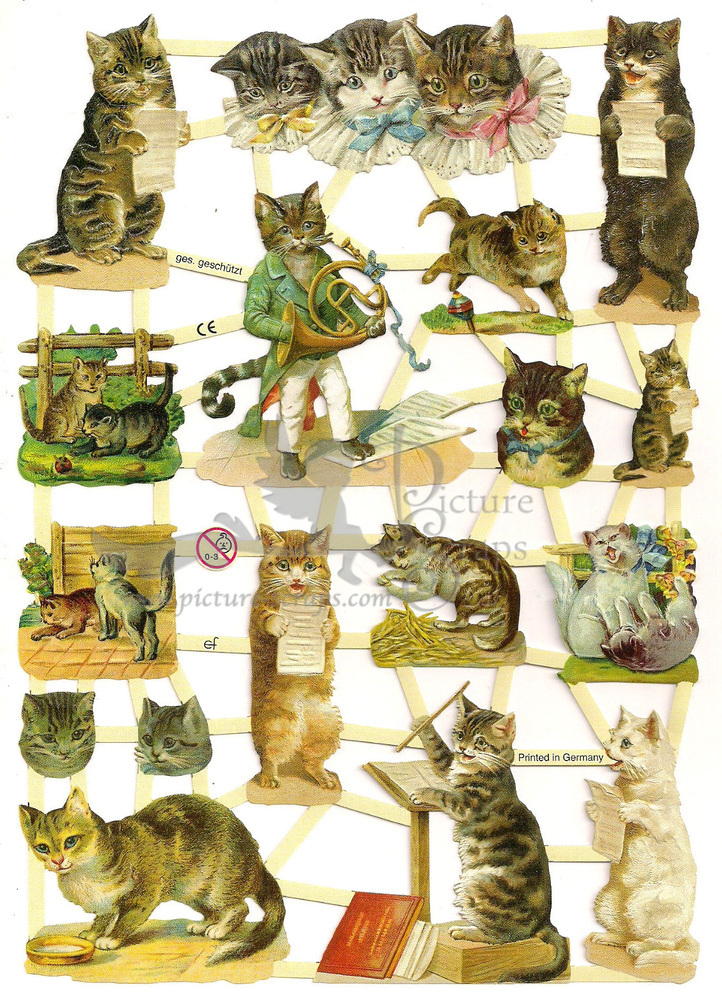 EF 7288 Cats & Kittens Singing.jpg