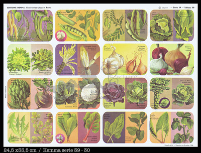 Hemma 30 vegetables.jpg