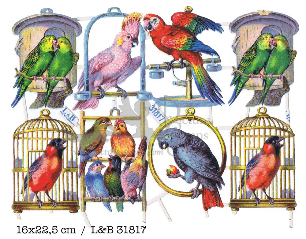 L&B 31817 parrots.jpg