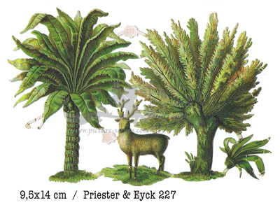 Priester & Eyck 227 trees and leaves.jpg