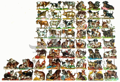 R.Tuck 609 small animals.jpg