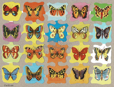saldana 53 butterflies.jpg