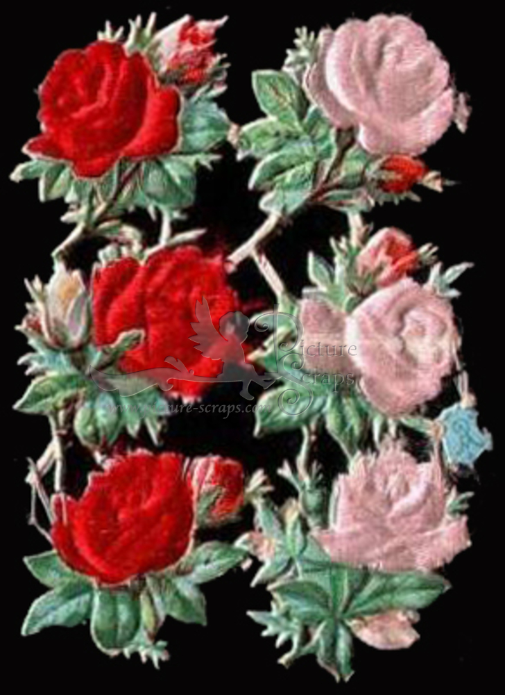 A.Radicke flowers with silk.jpg