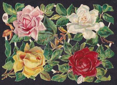 R.Tuck 637 roses 24 x 16 xm.jpg