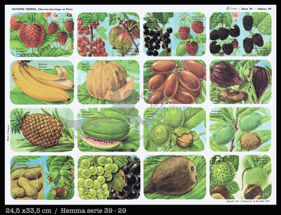 Hemma 29 fruits.jpg