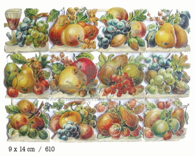 NL 610 fruits.jpg