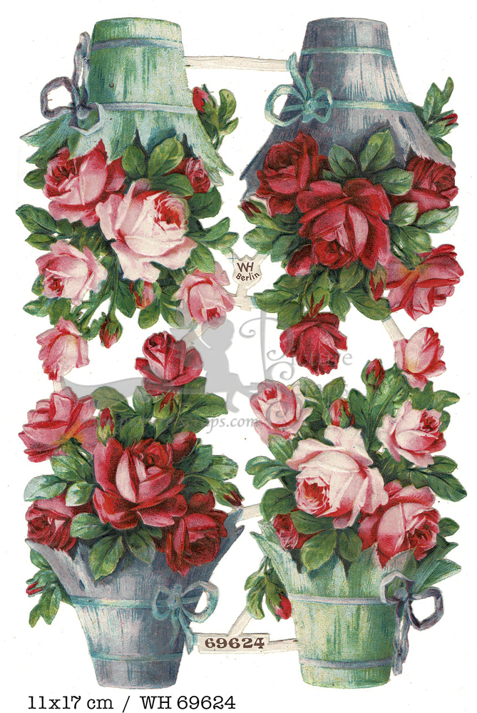 WH 69624 roses in vases 17x11.jpg