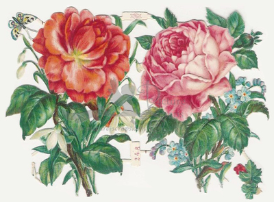Priester & Eyck 248 roses.jpg