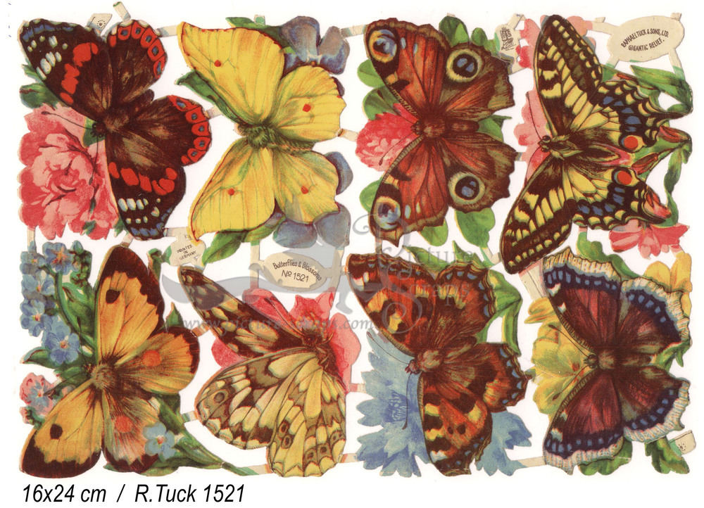 R.Tuck 1521 butterflies.jpg