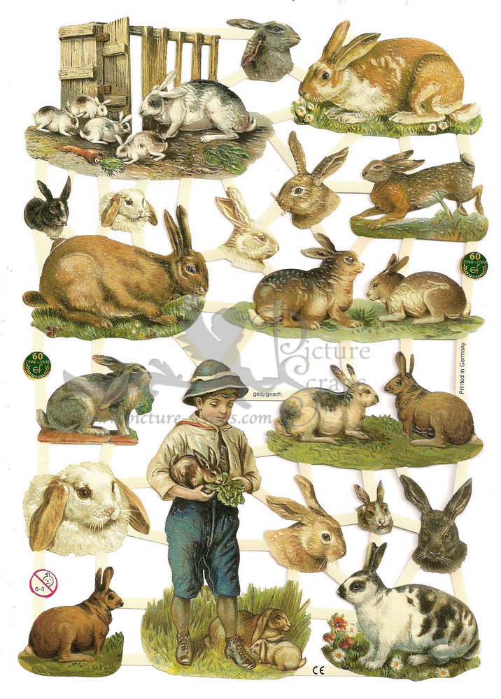EF 7292 bunnies easter rabbit.jpg