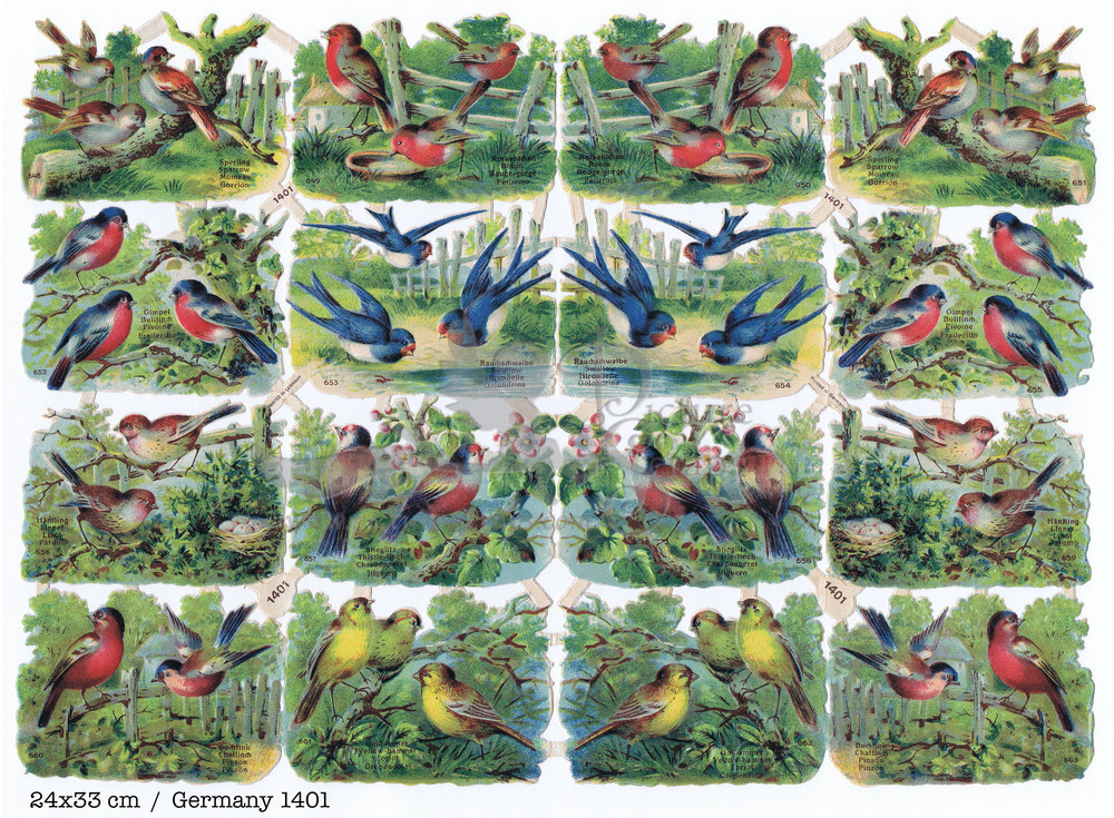 Printed in Germany 1401 birds square educational scraps.jpg