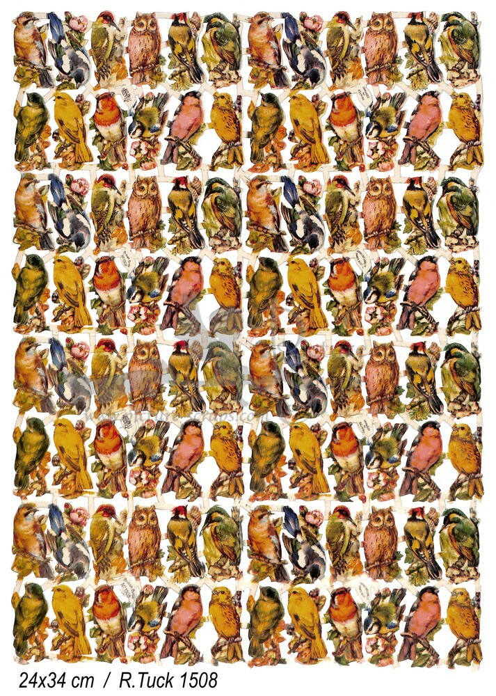 R.Tuck 1508 birds.jpg