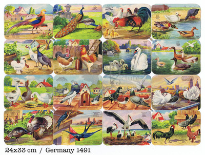 Printed in Germany 1491 farmanimals square educational scraps.jpg