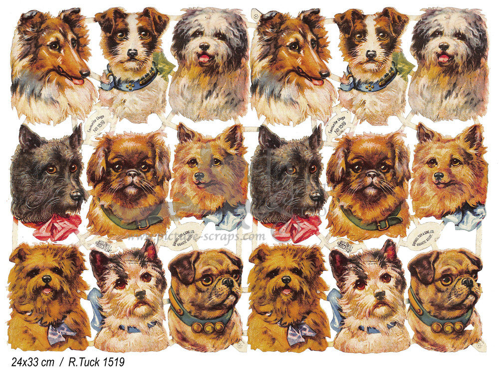 R.Tuck 1519 favorite dogs.jpg