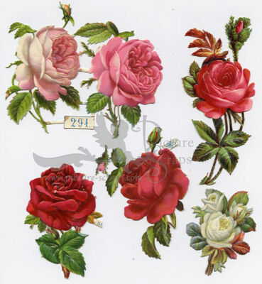 Priester & Eyck 294 roses.jpg