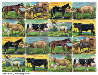 Printed in Germany 4832 animals square educational scraps.jpg