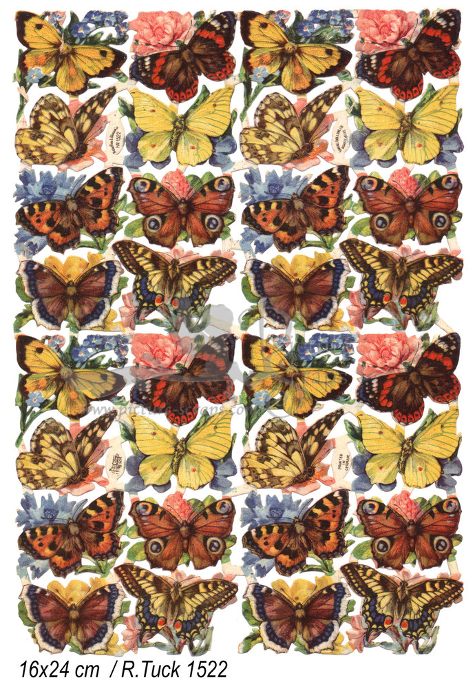 R.Tuck 1522 butterflies.jpg