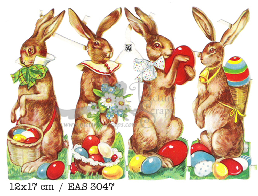 EAS 3047 rabbits.jpg